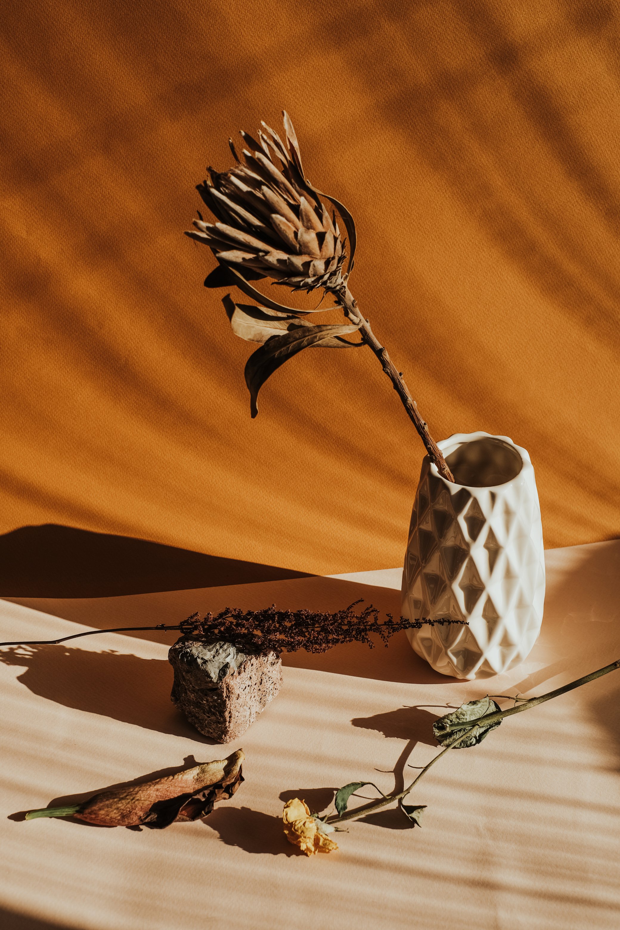 Dried Flower in a Decorative Vase 